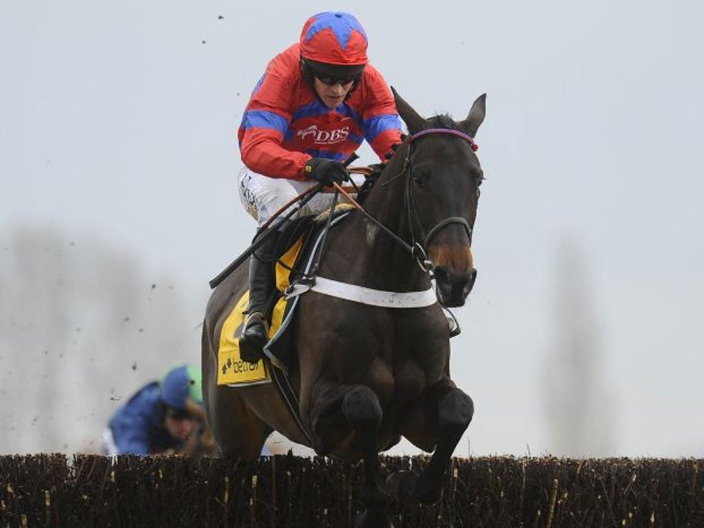 Sprinter Sacre will be a short-priced favourite in the Arkle Trophy today