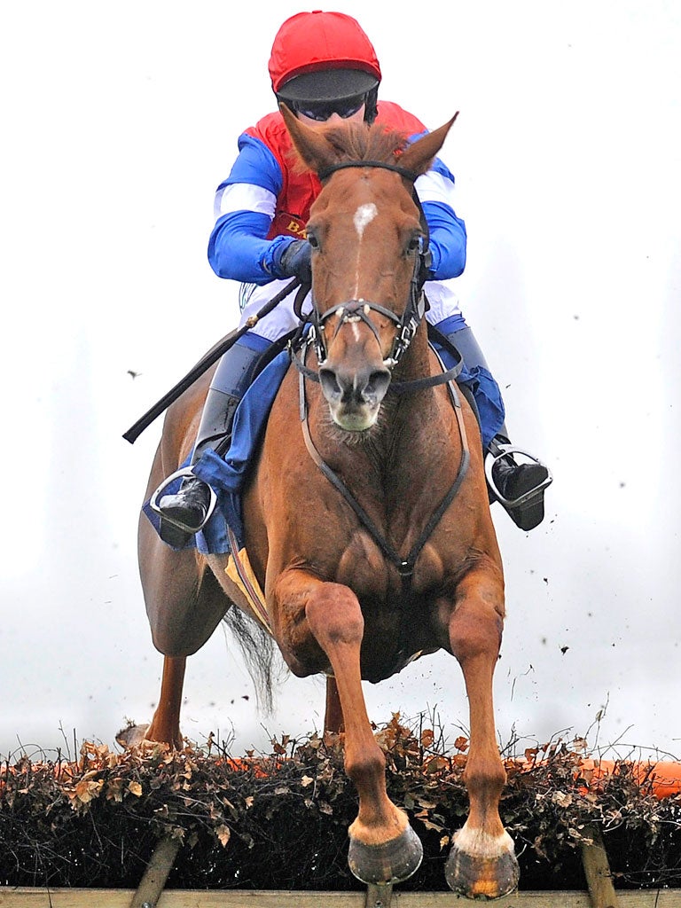 Chris Honour riding Poole Master at Newbury earlier this month