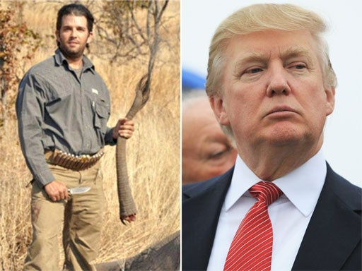 Donald Jr holds the severed tail of an elephant. Donald Sr, right, has questioned why his sons enjoy hunting so much