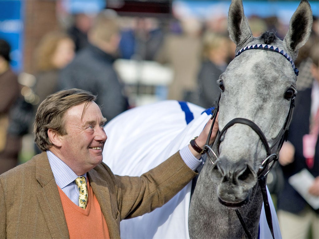 Nicky Henderson with Simonsig, after yesterday becoming the most successful trainer in the history of the Cheltenham Festival