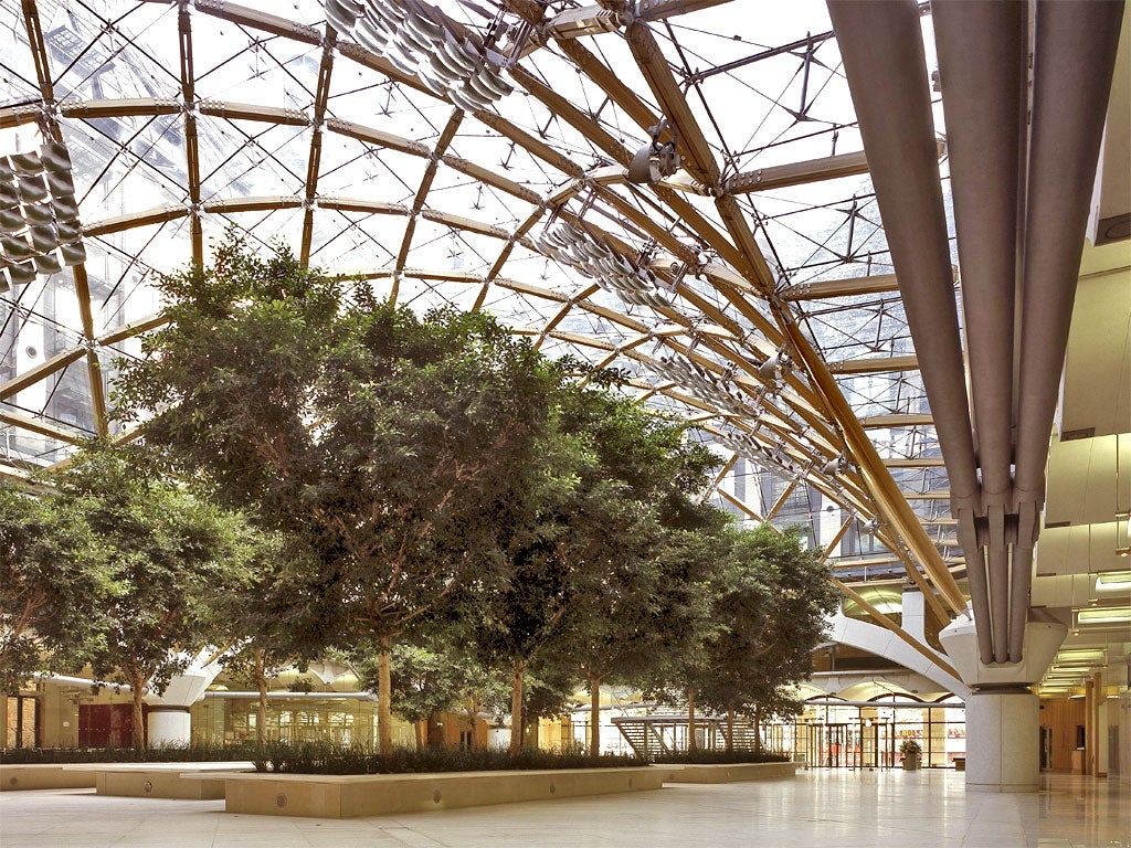 The fig trees have been in Portcullis House for more than 10 years
