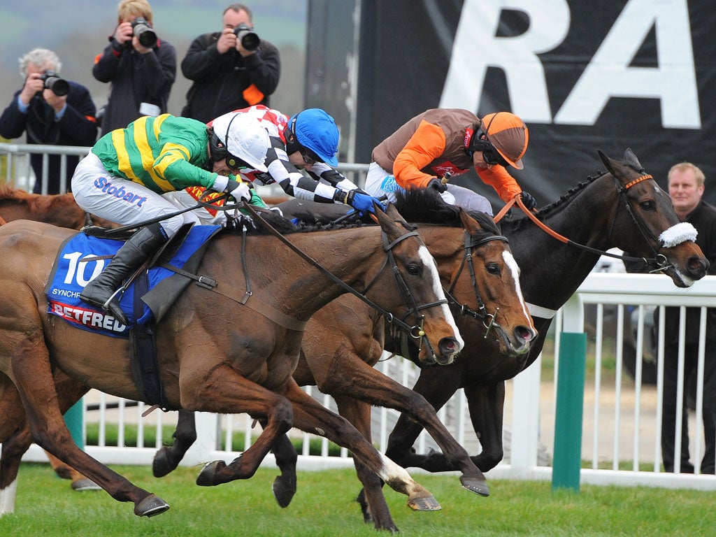 From left to right: Tony McCoy, Synchronised and Long Run in the Cheltenham Gold Cup