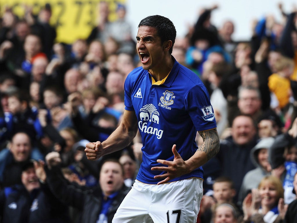 Tim Cahill celebrates scoring the equaliser