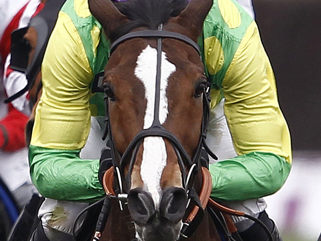 Ups and downs: Ruby Walsh rides Kauto Star in the Gold Cup at Cheltenham