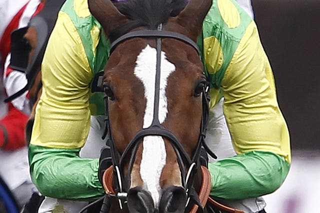 Ups and downs: Ruby Walsh rides Kauto Star in the Gold Cup at Cheltenham