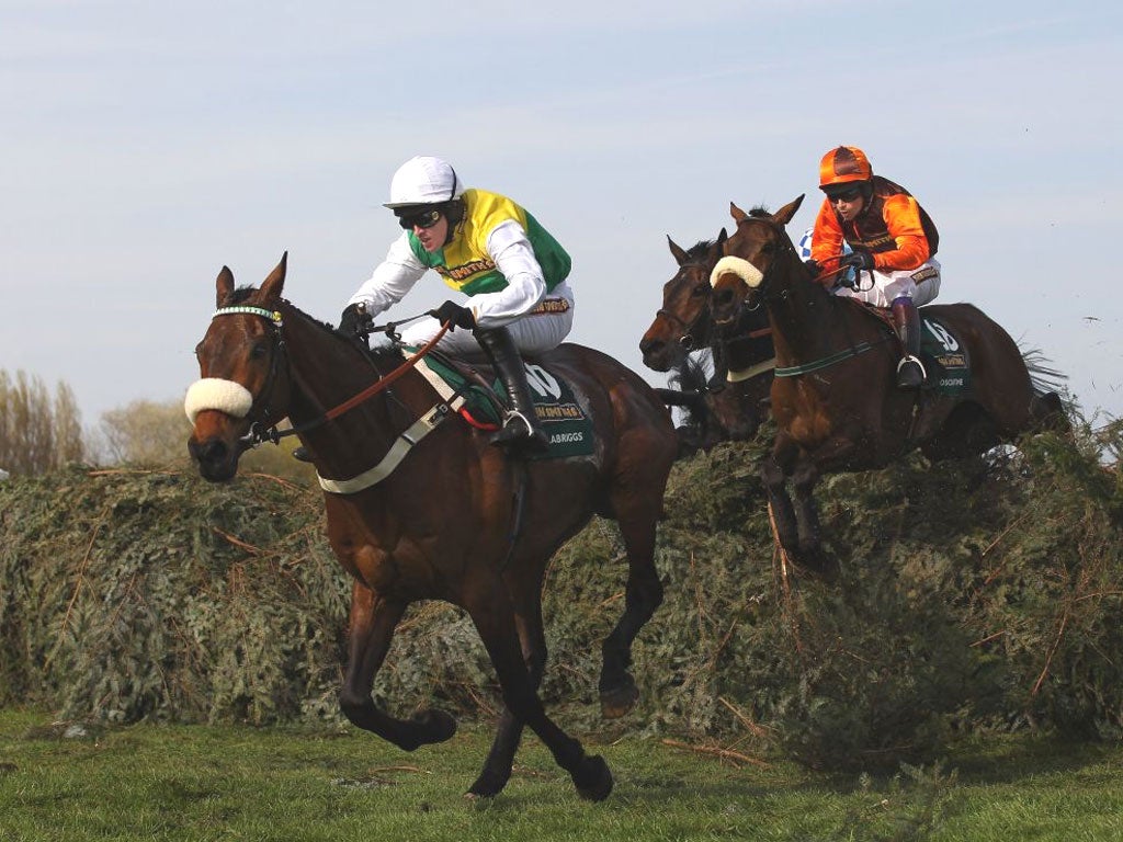 The BBC put 8.8m viewers in the picture as Ballabriggs and Jason Maguire led over the last fence to win the 2011 Grand National