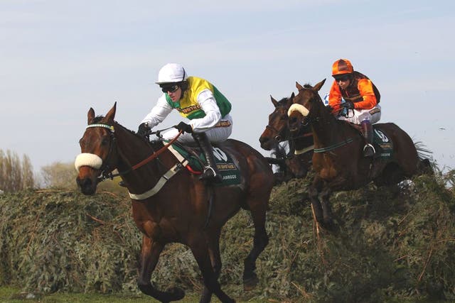 The BBC put 8.8m viewers in the picture as Ballabriggs and Jason Maguire led over the last fence to win the 2011 Grand National