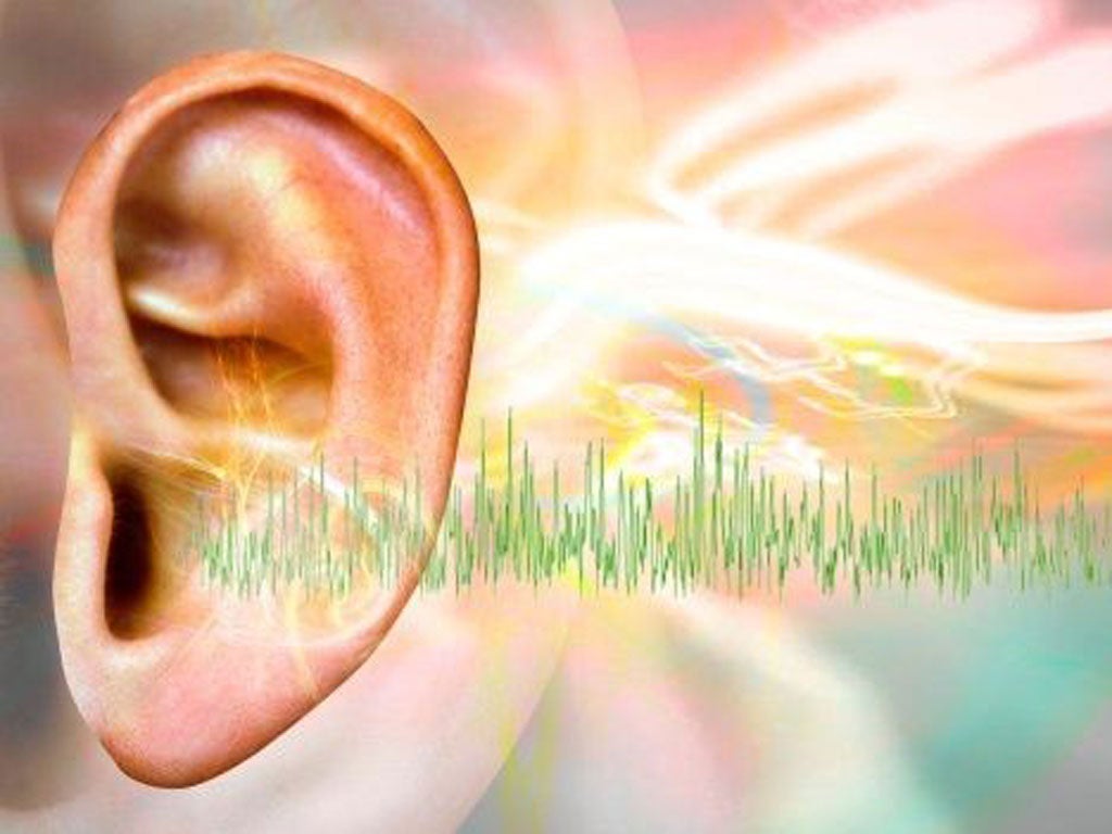 An estimated 10% of the UK population suffers from tinnitus, which causes ringing, buzzing, roaring and other noises in the ears
