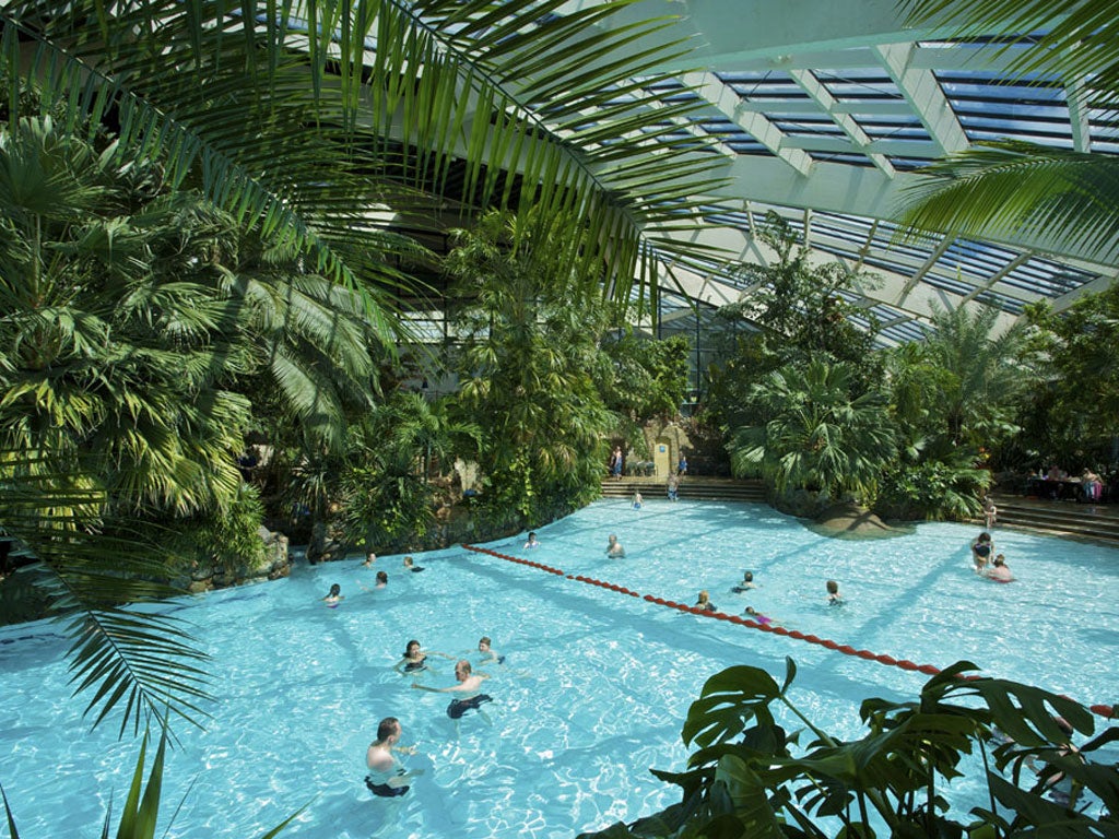 The Wood Life After 25 Years Has Center Parcs Changed Uk