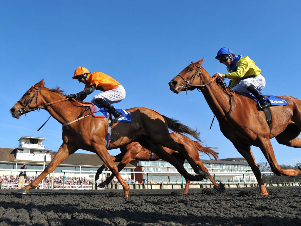 Like a train: Premio Loco (left) wins yesterday's Winter Derby at Lingfield