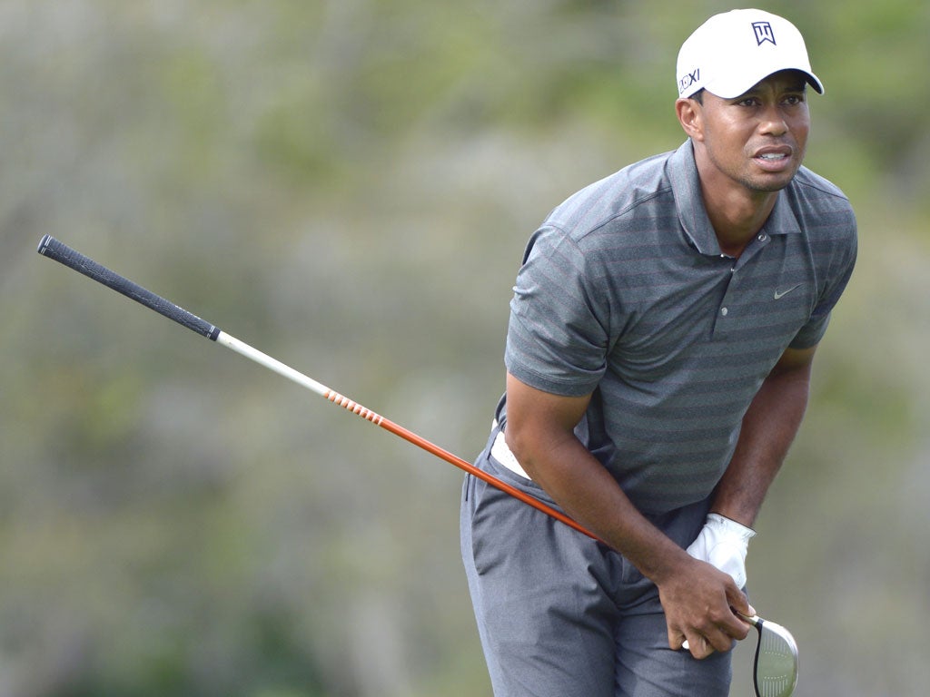Tiger Woods hit a drive into a private garden after being distracted by a woman screaming