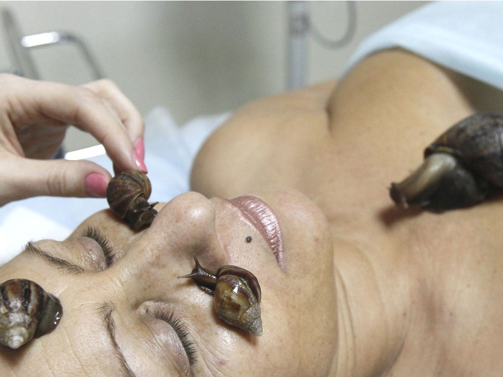 Snails: New skincare product in Siberia