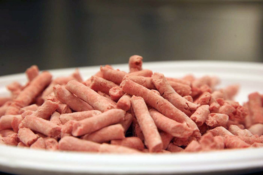 Beef Products Inc., boneless lean beef trimmings, made with "pink slime", are shown before packaging.