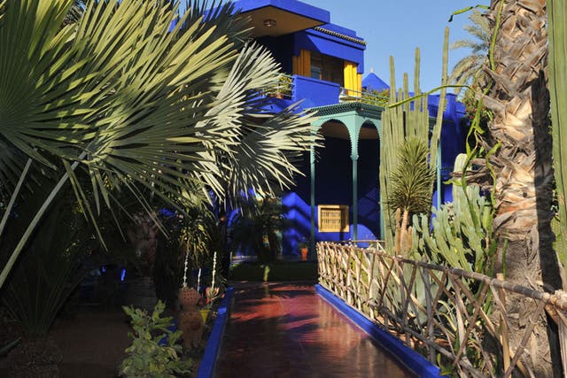 Marrakech magic: The Marjorelle Garden