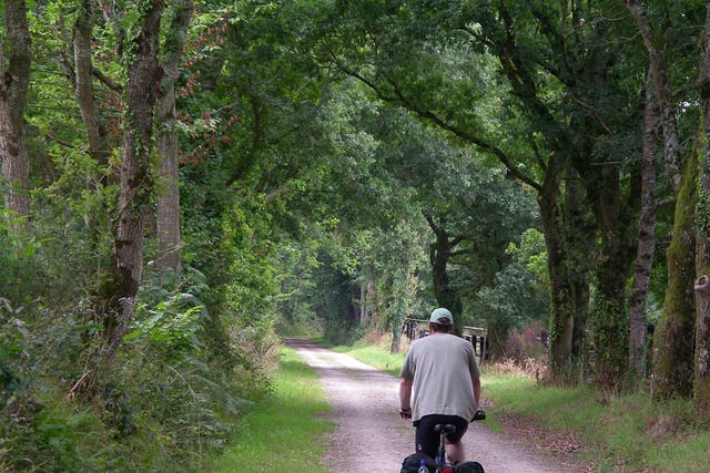 Slow lane: The author cycled along former railway tracks, past chateaux and tranquil waters