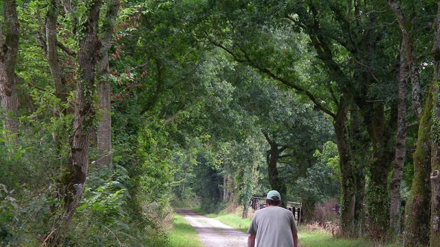 Slow lane: The author cycled along former railway tracks, past chateaux and tranquil waters