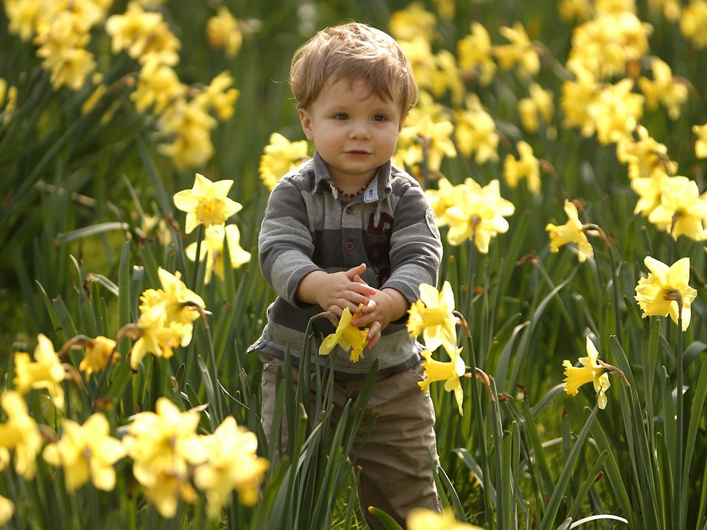 Let children play outside and pick flowers, the National Trust says
