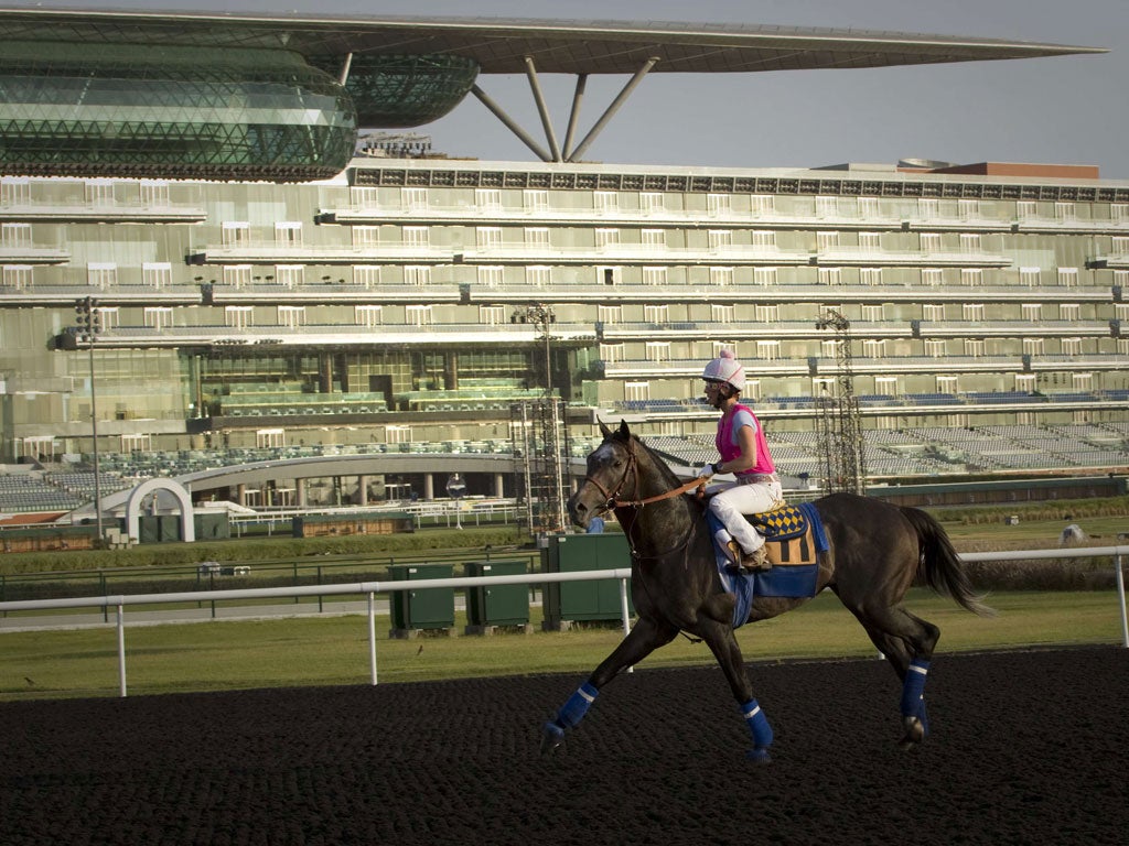 Chantal Sutherland rides work yesterday at Meydan, where she partners Game On Dude in the Dubai World Cup