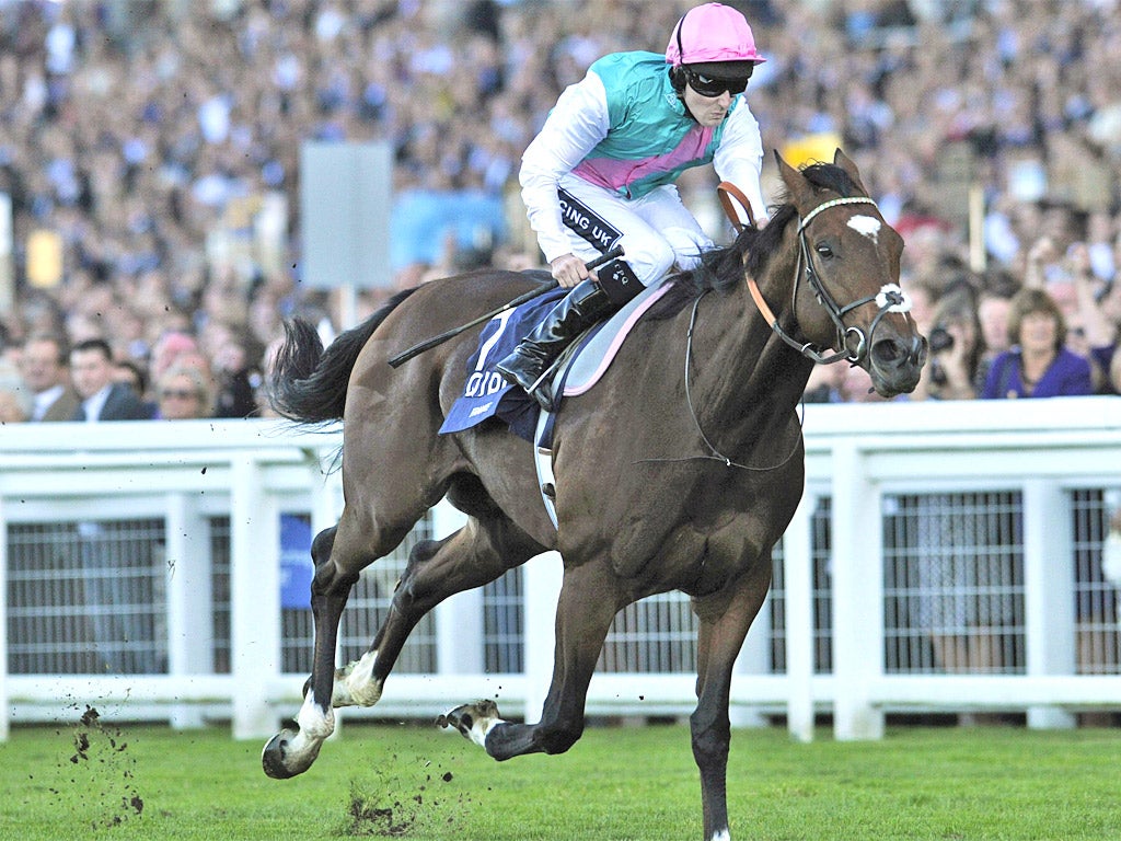 Tom Queally riding Frankel to victory at Ascot last October