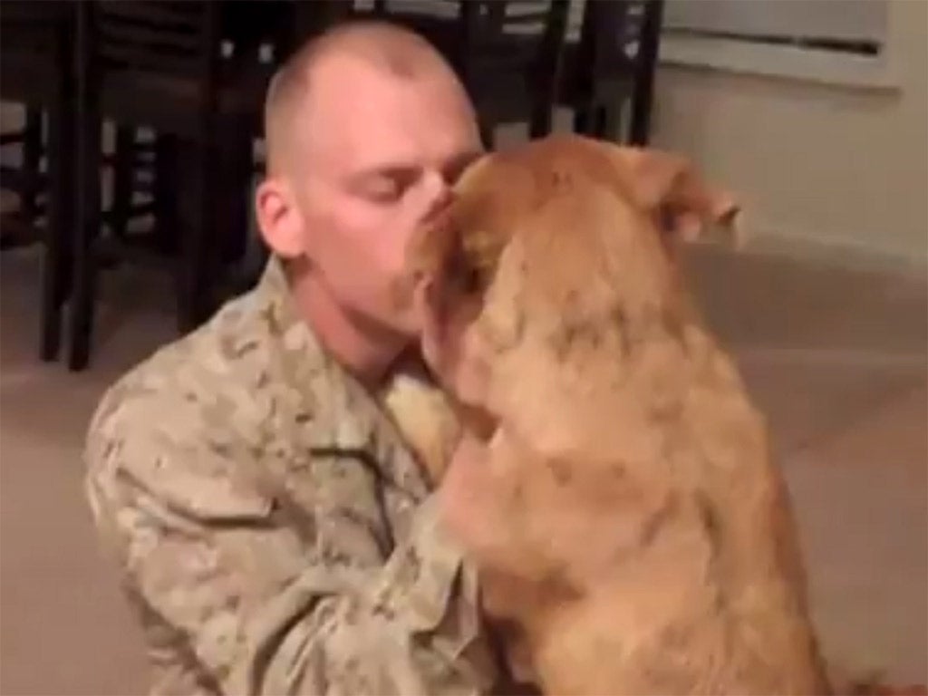A US Marine is reunited with his beloved dog