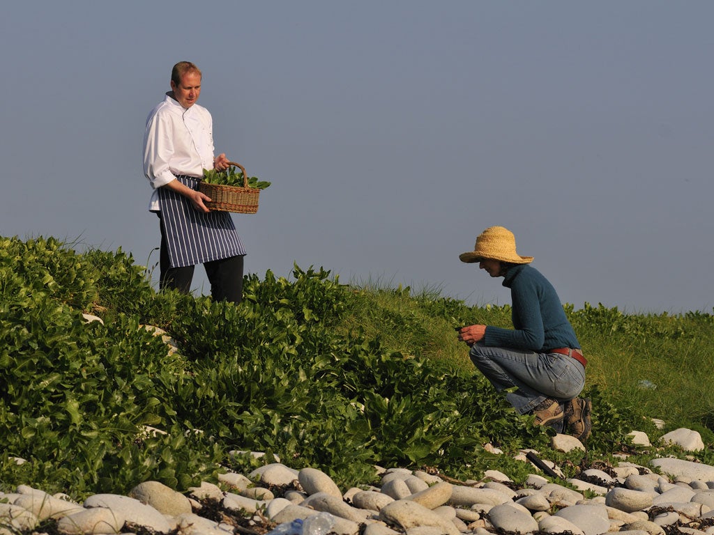 Scilly Isles The Flavours At Your Feet Fresh Wild And - 