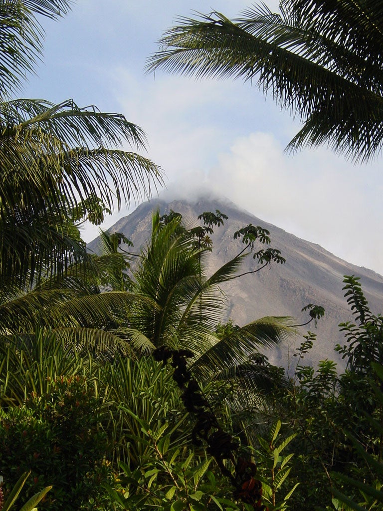 Journeys of Distinction has an 'Early Bird Saver' offer on a range of worldwide escorted tours