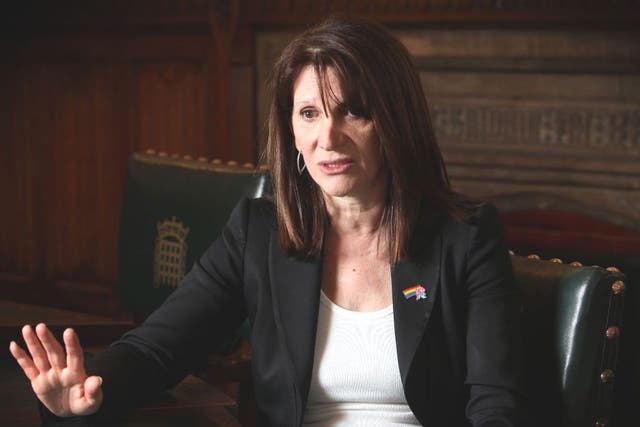 Under attack: Equalities minister Lynne Featherstone