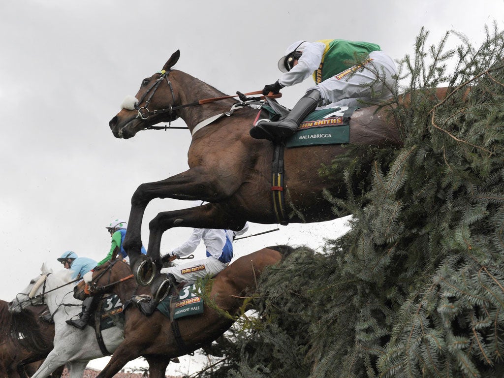Final fence: The Grand National has been a treasured fixture for the BBC's live coverage for more than half a century