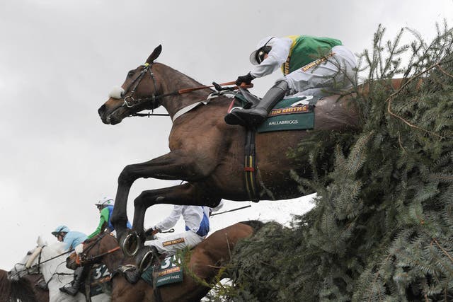 Final fence: The Grand National has been a treasured fixture for the BBC's live coverage for more than half a century