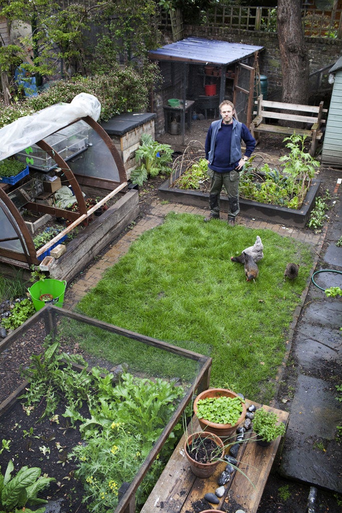 Tom Moggach and his hens in his city garden in London's Camden