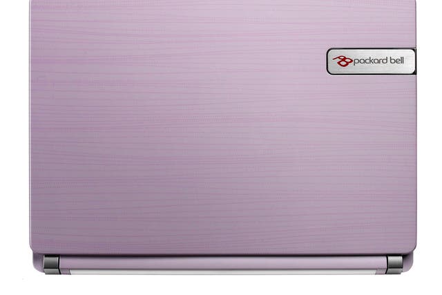 1. Packard Bell Dot S

<p>Very.co.uk, £229.00</p>

<p>This netbook stands out, with a purple swish pattern on its lid. It has a very sturdy base and good battery life. It's very well connected, too, with three USB ports and an SD card reader.</p>