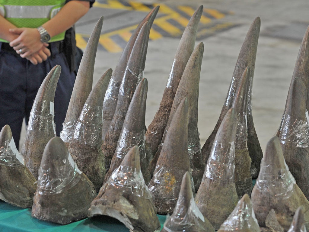Rhino horns seized by Hong Kong airport customs staff