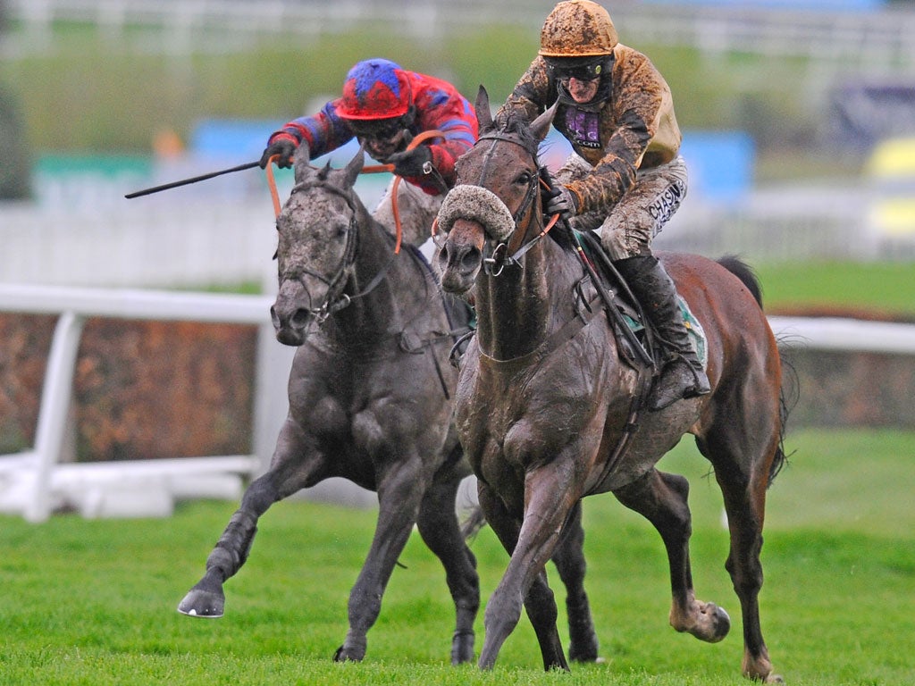 Muddy marvellous: Daryl Jacob drives Tidal Bay (right) away from the last to a comfortable victory over Roalco de Farges