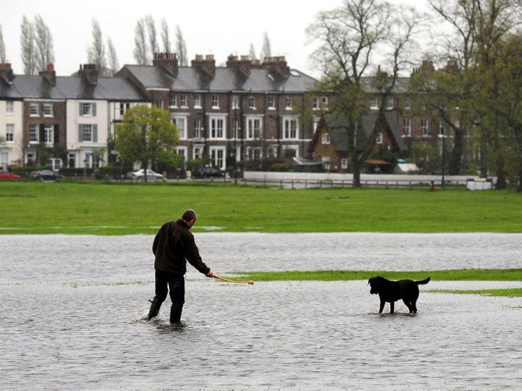 Flooded fields fail to stop a dog walker in Knavesmire, York