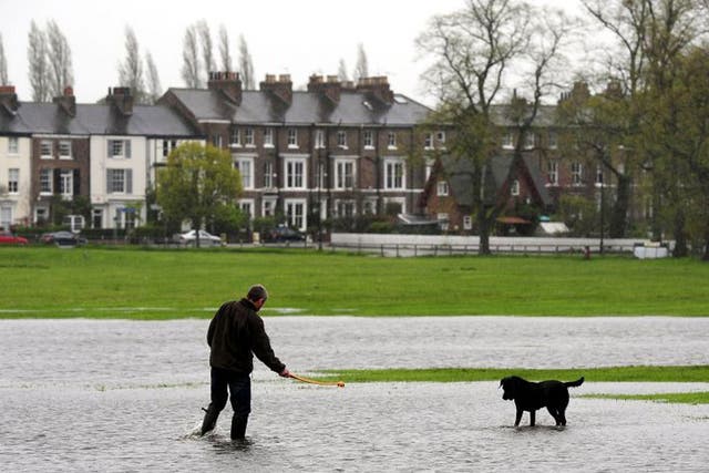Flooded fields fail to stop a dog walker in Knavesmire, York