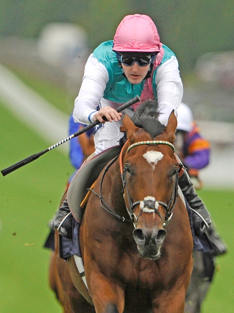 Frankel, rated the world’s best horse, is to work in public on Sunday