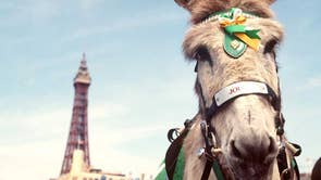 Uk Bank Holidays 2019 List Which Days Off Do Brits Get This Year And How Many Are Left The Independent The Independent