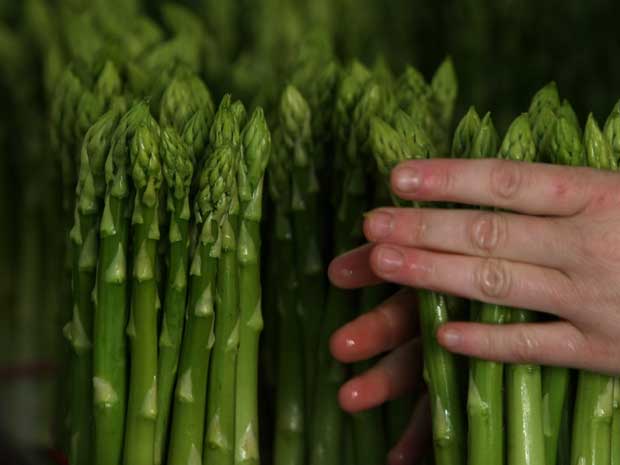 The recent rain and flooding has forced organisers of the annual British Asparagus Festival to cancel the event