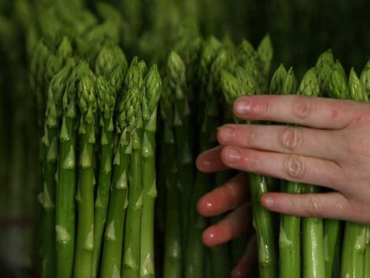 Asparagus festival cancelled due to lack of of asparagus The