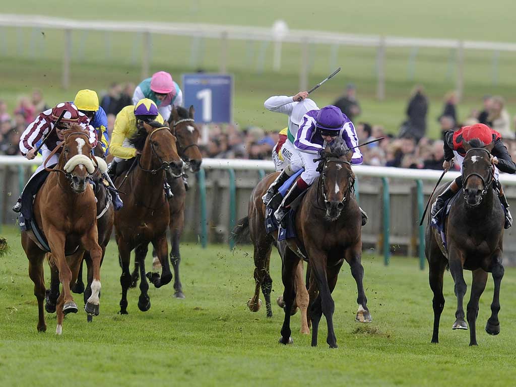 Stuff of legends: Camelot (second left) gets up to beat French Fifteen (left) in yesterday's 2,000 Guineas at Newmarket