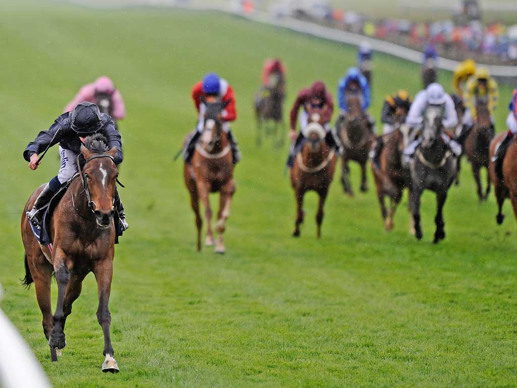 The25-1 shot Homecoming Queen stuns the field to win the 1,000 Guineas