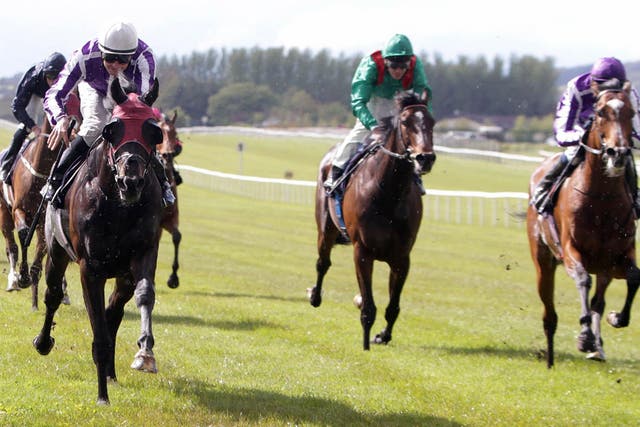 Joseph O’Brien on St Nicholas Abbey (right) fails to peg back his stablemate Windsor Palace (red blinkers) at the Curragh yesterday