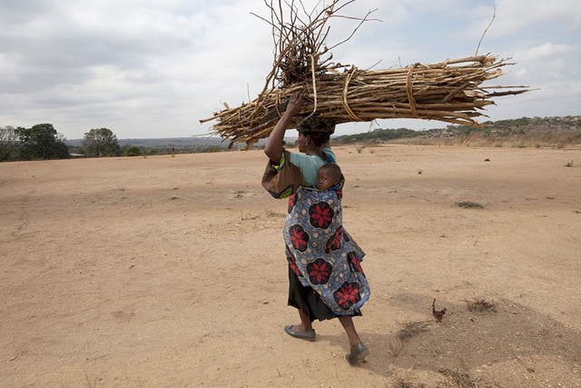 Living off the land: Most of Malawi's inhabitants are subsistence farmers