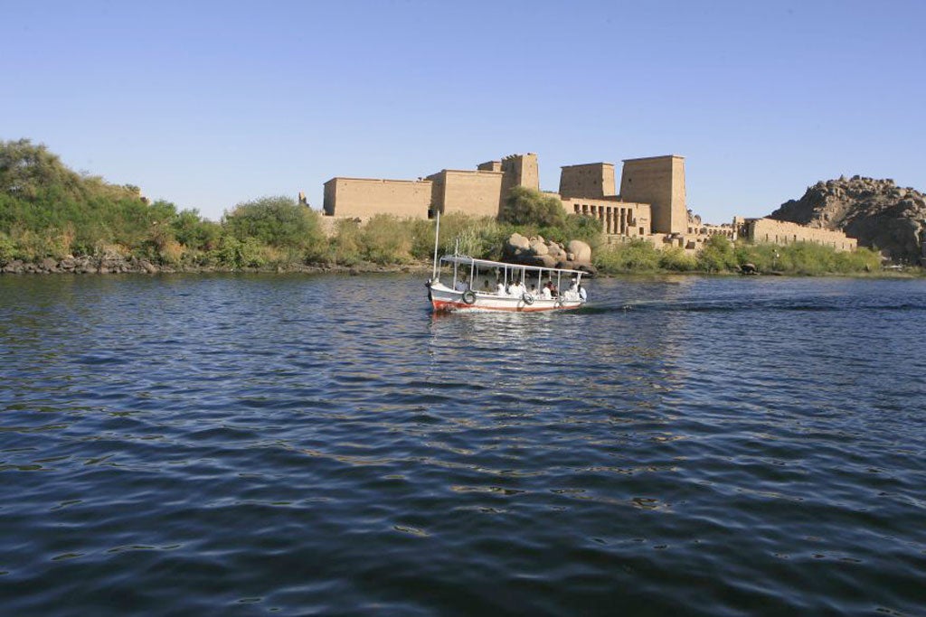 Up to 40 of the 270 boats that ply the Nile can resume trips at the end of this month