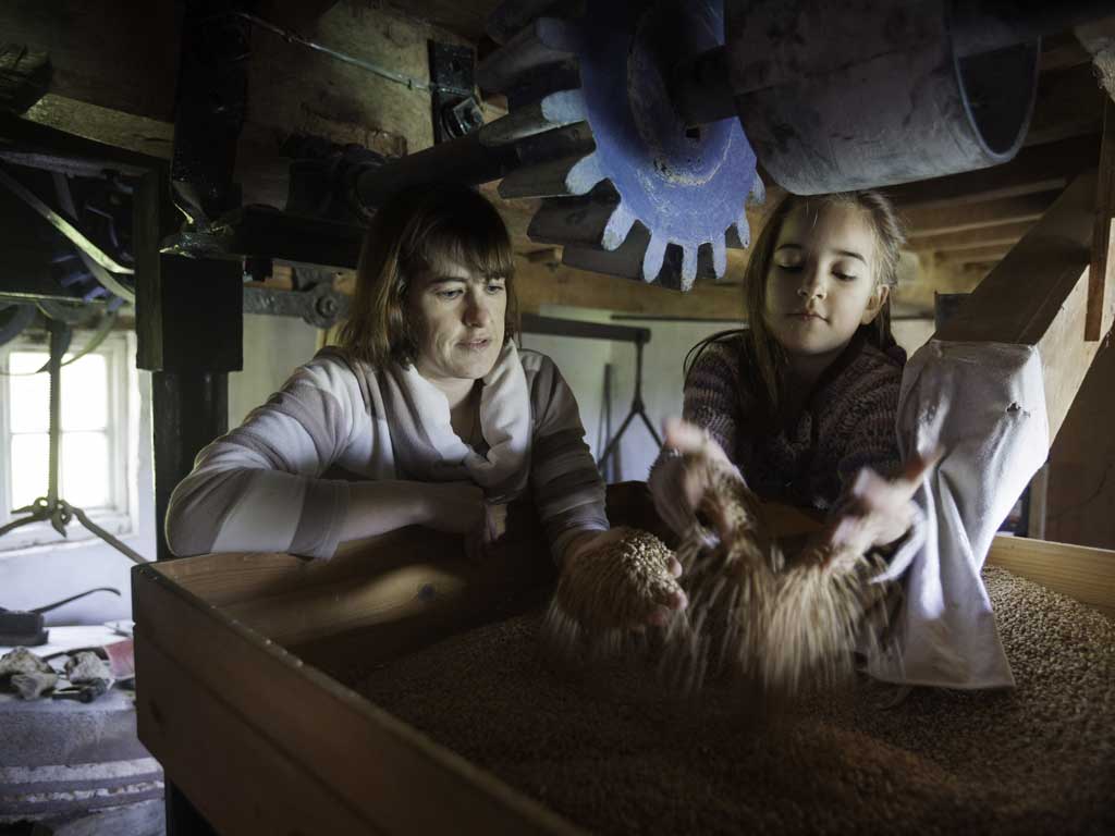 Sally Craven with her daughter Adele, 8, sifting through grains of wheat before being turned in to flour at their water mill in Claybrooke Magna