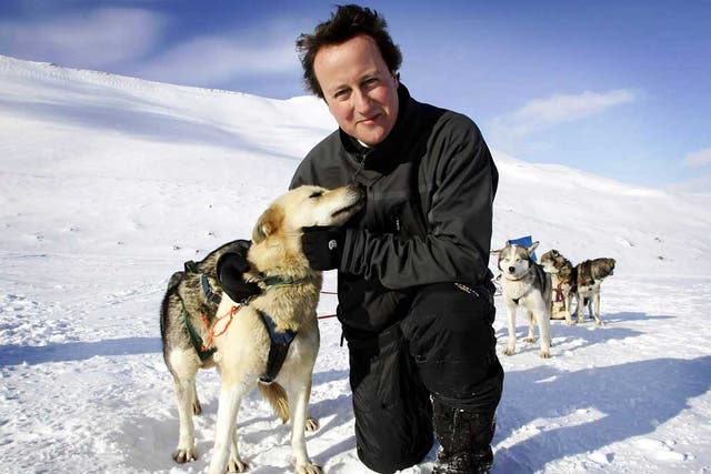 Happy days: David Cameron in Svalbard, Norway on a 2006 trip designed to expound his green credentials