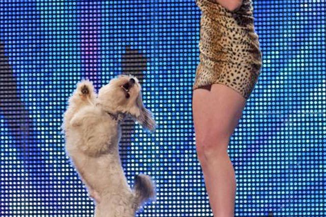 Britain's Got Talent winner Ashleigh Butler said today she felt 'overwhelmed' by support from the public after she and her dog Pudsey triumphed in the live final of the competition