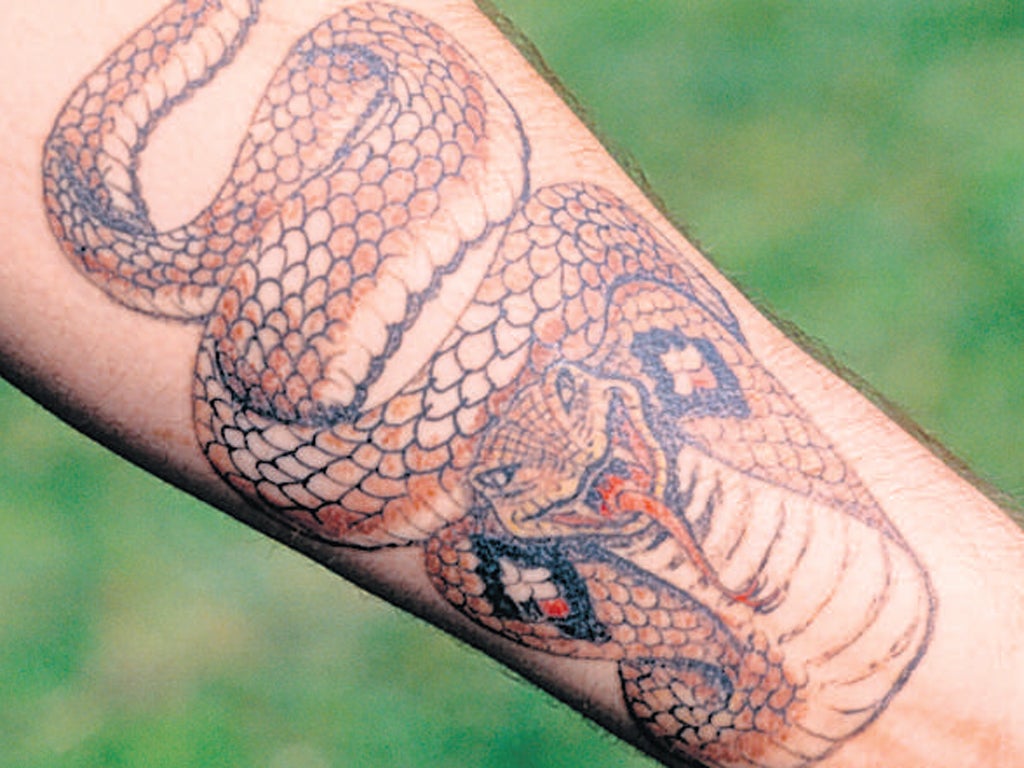 Snake skin: Animal tattoos are all part of the Tatzoo conservation project