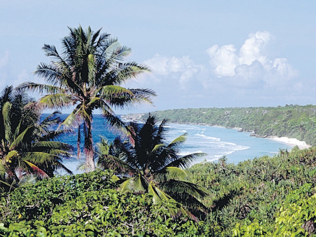 Palm trees line the beach on one of the Pitcairn Islands. The islands, settled by mutineers from the Bounty, are seeking help from Warren Buffett