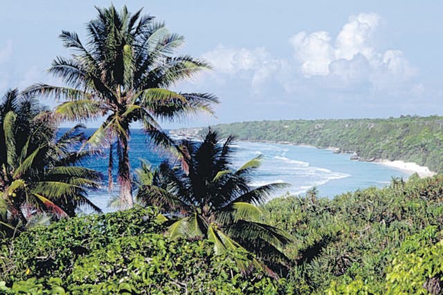 Palm trees line the beach on one of the Pitcairn Islands. The islands, settled by mutineers from the Bounty, are seeking help from Warren Buffett